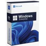 Microsoft windows 11 enterprise ЛИЦЕНЗ (dg7gmgf0pp46-0002)
