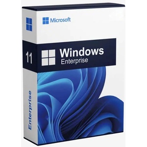 Microsoft windows 11 enterprise ЛИЦЕНЗ (dg7gmgf0pp46-0002)