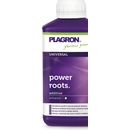 Plagron Power roots 250 ml
