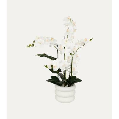 Atmosphera Umělá orchidej MICK v keramickém květináči, 80 cm