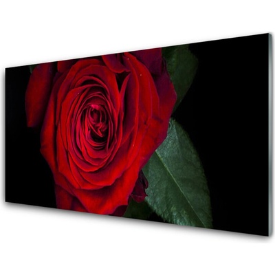Obraz na skle Růže 100x50 cm