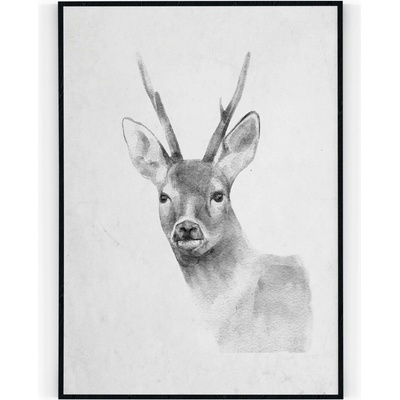 Plakát / Obraz Srnec 50 x 70 cm Tiskové plátno – Zbozi.Blesk.cz