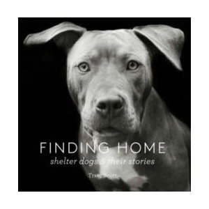 Finding Home | Traer Scott (ISBN: 9781616893439)