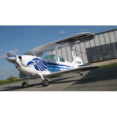Akrobatický let Christen Eagle II