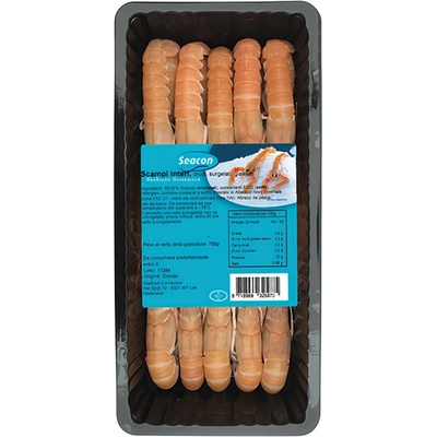 Humr severský 13/16 mražený 700g – Sleviste.cz