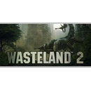 Wasteland 2