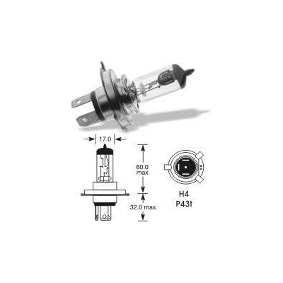 Elta P43t H4 24V 75/70W