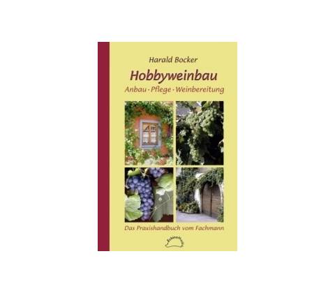 Hobbyweinbau