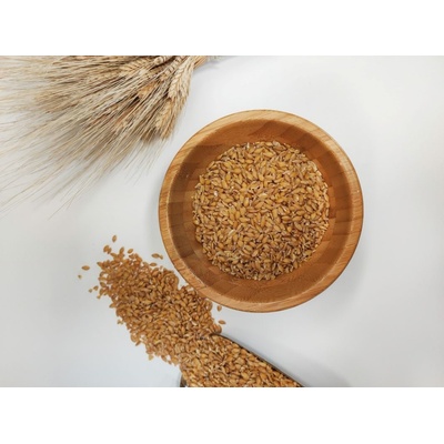 Био зърно от лимец