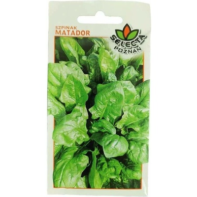 Špenát Matador: Spinacea Oleracea 10 g