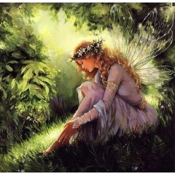 Norimpex - Puzzle Diamant painting: Forest fairy 30x40cm - 1 - 39 piese