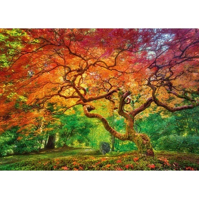 Cherry Pazzi - Puzzle Arteria Spray - 1 000 piese