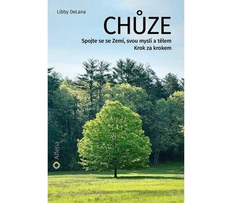 Chůze