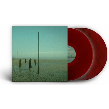 DEVIL\'S WITCHES - IN ALL HER FORMS LP