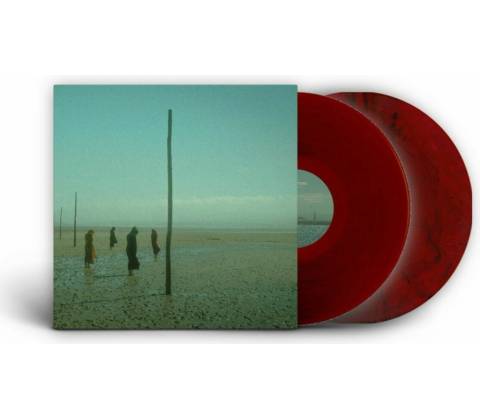 DEVIL\'S WITCHES - IN ALL HER FORMS LP