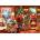Castorland - Puzzle Santa's Special Delivery - 1 500 piese