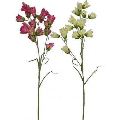 KS CAMPANULA MIX/2F 77CM