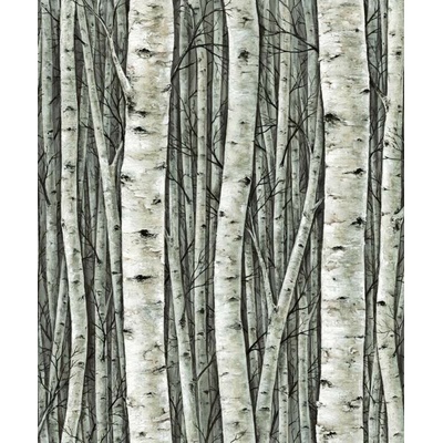 Marburg 35380 Vliesová fototapeta na zeď Timber, rozměry 0,53 x 10,05 m