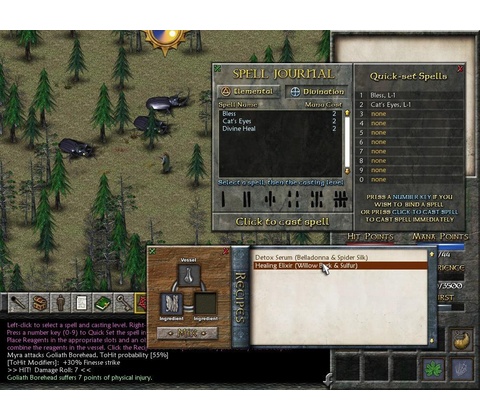 Eschalon: Book 2
