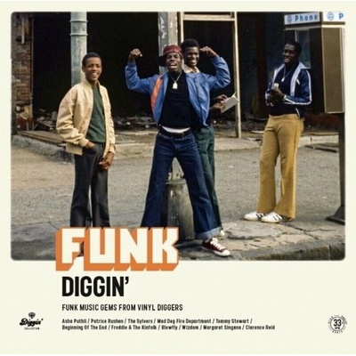 Various Artists - Funk Diggin' - Funk Music Gems From Diggers (Remastered) LP Vinyl