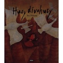 Husy divohusy