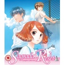 Sagrada Reset Collection BD