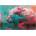 Educa - Puzzle King of Blossoms - 1 000 piese