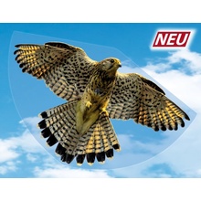 Günther GmbH & Co. Günther SOKOL FALKE 92 x 62 cm