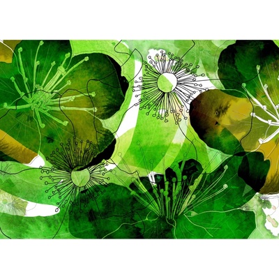 Komar Vliesová fototapeta Aquarell rozměry 350 x 250 cm