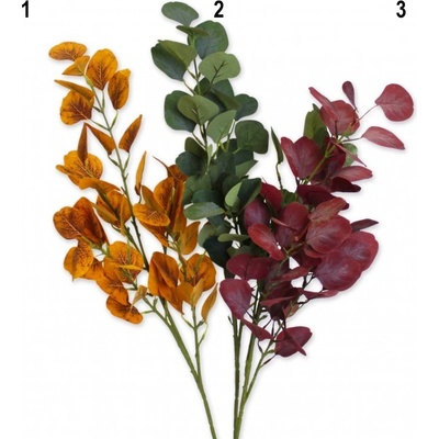 Eukalyptus podzimní 36 cm - hnědý
