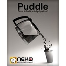 Puddle