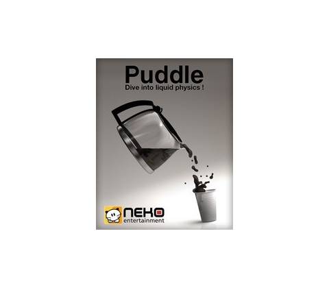 Puddle