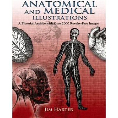 Anatomical and Medical Illustrations | Jim Harter