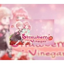 Strawberry Vinegar