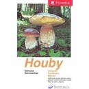Houby