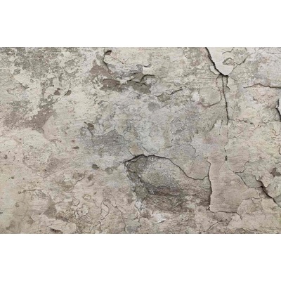 Dimex MS-5-2446 Vliesová fototapeta Šedá betonová textura rozměry 375 x 250 cm
