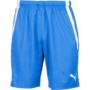 PUMA Team liga shorts 152