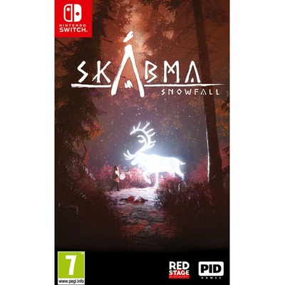 Skábma Snowfall