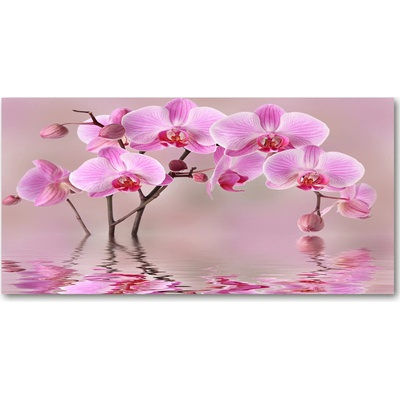 Moderný foto obraz na stenu ružová orchidea 100x50 cm