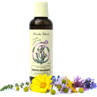 Herba Vitalis tinktúra z byliny Vŕbovka malokvetá 50 ml