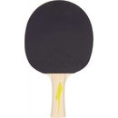 Pro Touch Pro 2000
