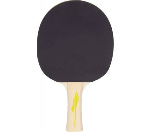 Pro Touch Pro 2000