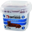 Krmivo pro kočky Ontario Snack losos Bits 75 g