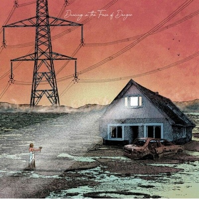 Dancing in the face of danger - Exploring Birdsongs CD