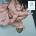 Madison Beer - Locket (Gatefold Sleeve) (Buttercream Tan Coloured) (LP) (0198029777413)