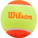 Wilson Starter 48 ks