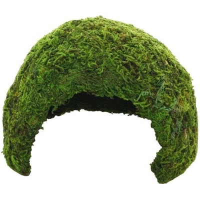 Hobby Jungle Cave 1 11 x 11 x 9 cm