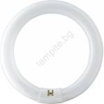 Philips Флуоресцентна тръба Philips MASTER G10q/22W/230V 4000K Ø 21, 35 см (P4926)