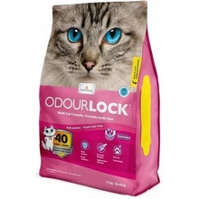 Intersand Odour Lock Powder 12 kg