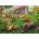 Ravensburger - Puzzle Playing in the Yard XXL - 200 piese